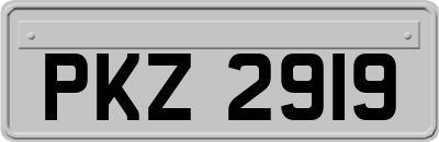 PKZ2919