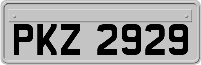 PKZ2929