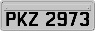 PKZ2973