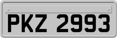 PKZ2993