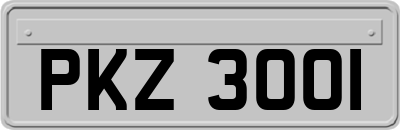 PKZ3001