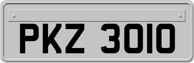 PKZ3010