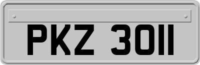 PKZ3011