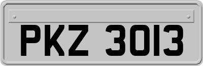 PKZ3013