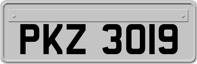 PKZ3019