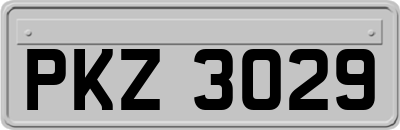 PKZ3029
