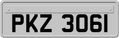 PKZ3061