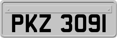 PKZ3091