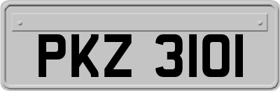 PKZ3101