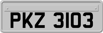 PKZ3103