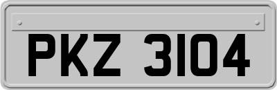 PKZ3104