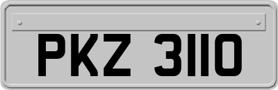 PKZ3110