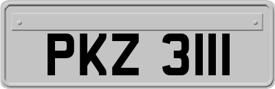 PKZ3111