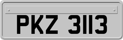PKZ3113