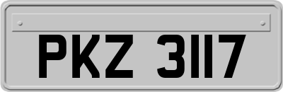 PKZ3117