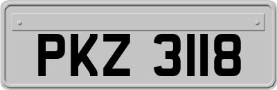 PKZ3118