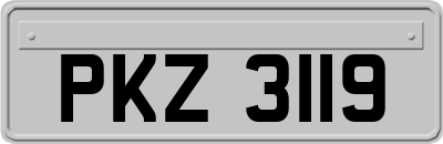 PKZ3119