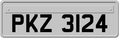 PKZ3124