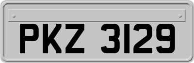 PKZ3129