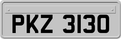 PKZ3130
