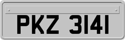 PKZ3141