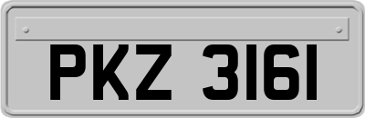 PKZ3161