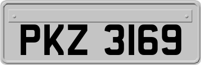 PKZ3169