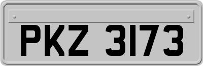 PKZ3173