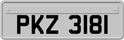 PKZ3181