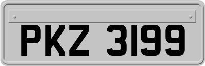 PKZ3199