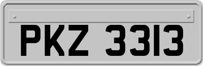PKZ3313