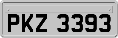 PKZ3393