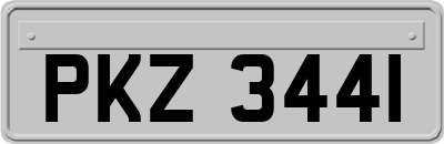 PKZ3441