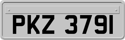 PKZ3791