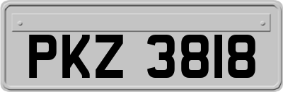 PKZ3818
