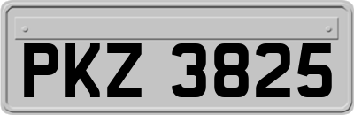 PKZ3825