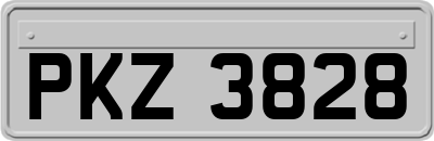 PKZ3828