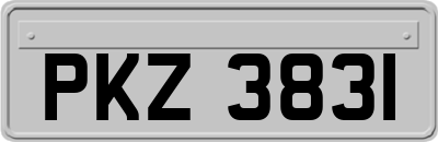 PKZ3831