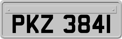 PKZ3841