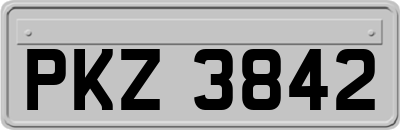 PKZ3842