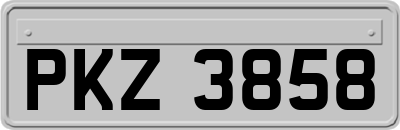 PKZ3858