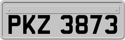 PKZ3873
