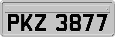PKZ3877