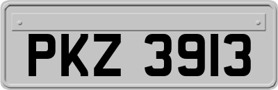 PKZ3913