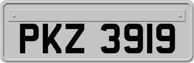 PKZ3919