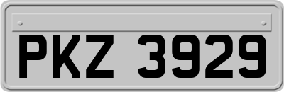 PKZ3929