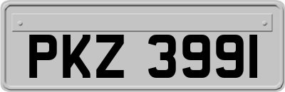 PKZ3991