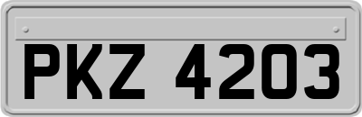 PKZ4203