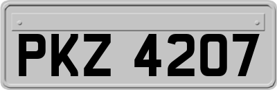 PKZ4207