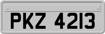 PKZ4213